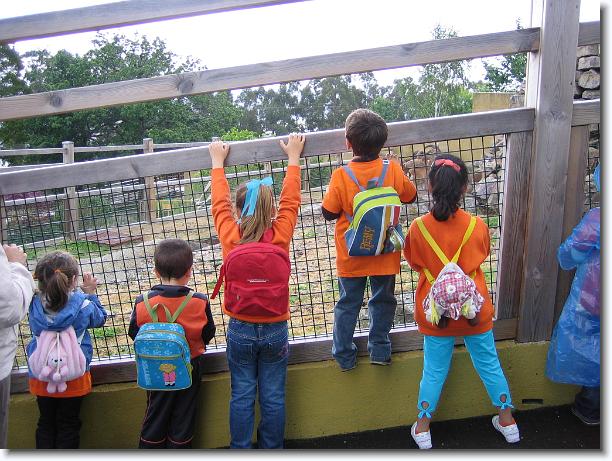 Diapositiva siguiente